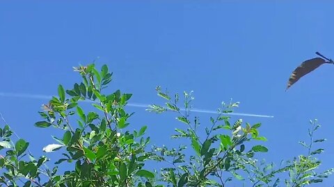 MAIS RASTROS NO CÉU DE VASSOURAS -22 /08/2022