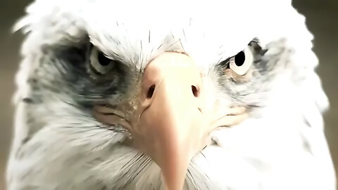 AI Enhanced: THE GREAT AWAKENING COLLAB STORMISHERE 🕴️ #STORMISHERE #WWG1WGA #Q #ANON 🕴️