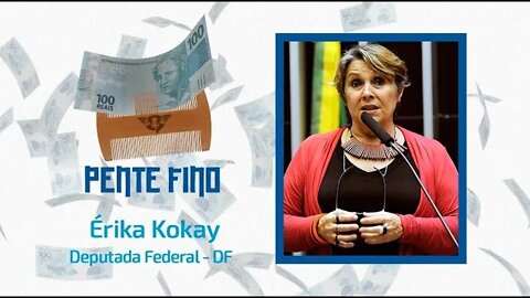 🔴🔎PENTE FINO DEPUTADA ERIKA KOKAY - São Fatos.