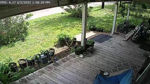 AwShuxs Studios Live Stream