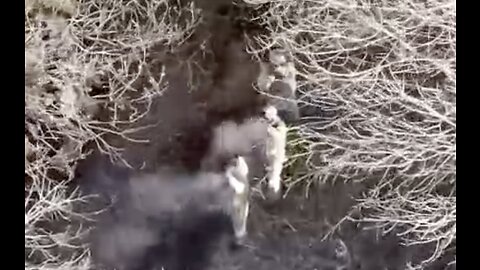 WAR CRIME FILMED! Ukrainian Soldiers Shoot Their 3 "Brothers-in-Arms" For Refusing To Follow Orders!