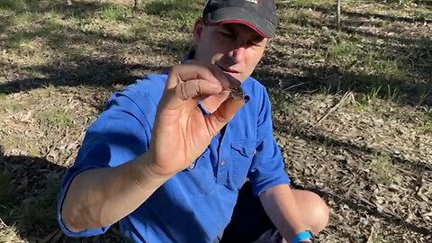 The Sterling Silver Horse Shoe Metal Detecting