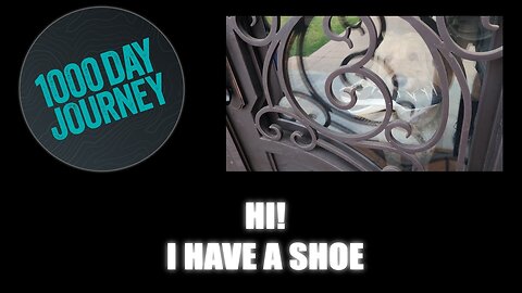 1000 Day Journey 0496 Hi! I Have a Shoe