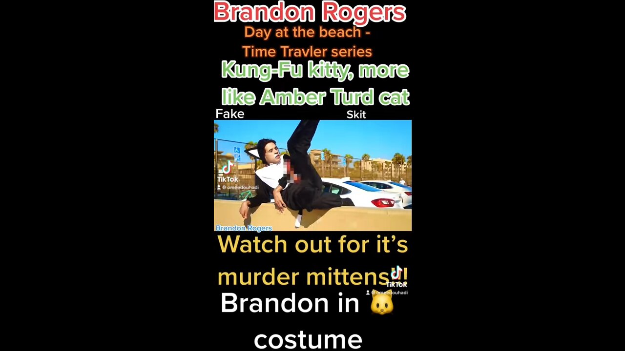 Amber Turd's kitty #brandonrogers