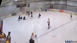 Pee Wee Hockey “The Michigan”