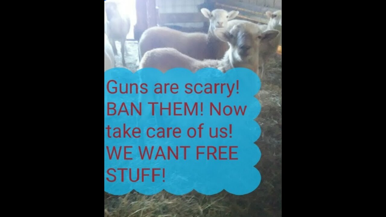 Hunting, is not the 2A!