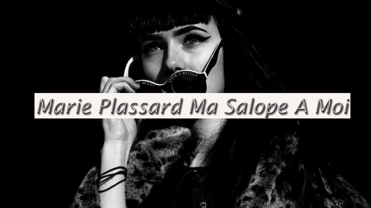 Marie Plassard Ma Salope À Moi cover mix slow with lyrics cover