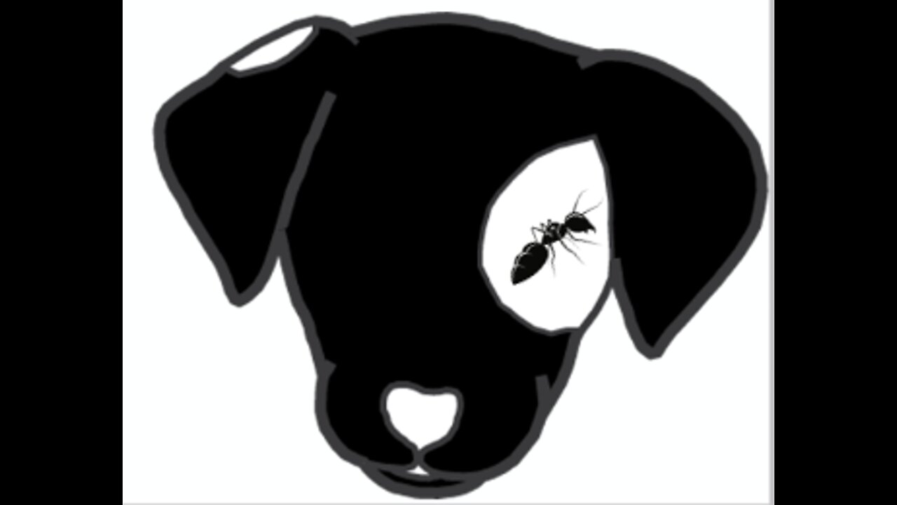 Ant Screams Like a bitch then calls a woman out of her name
