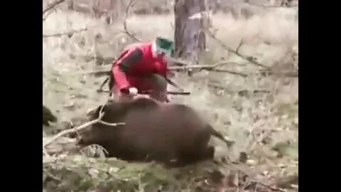 Смелый охотник и его не менее смелый четвероногий друг | #shorts