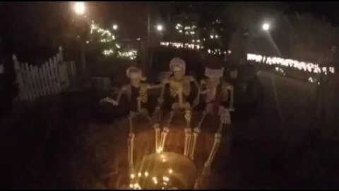 Holiday lights at the Garden Bridge 2