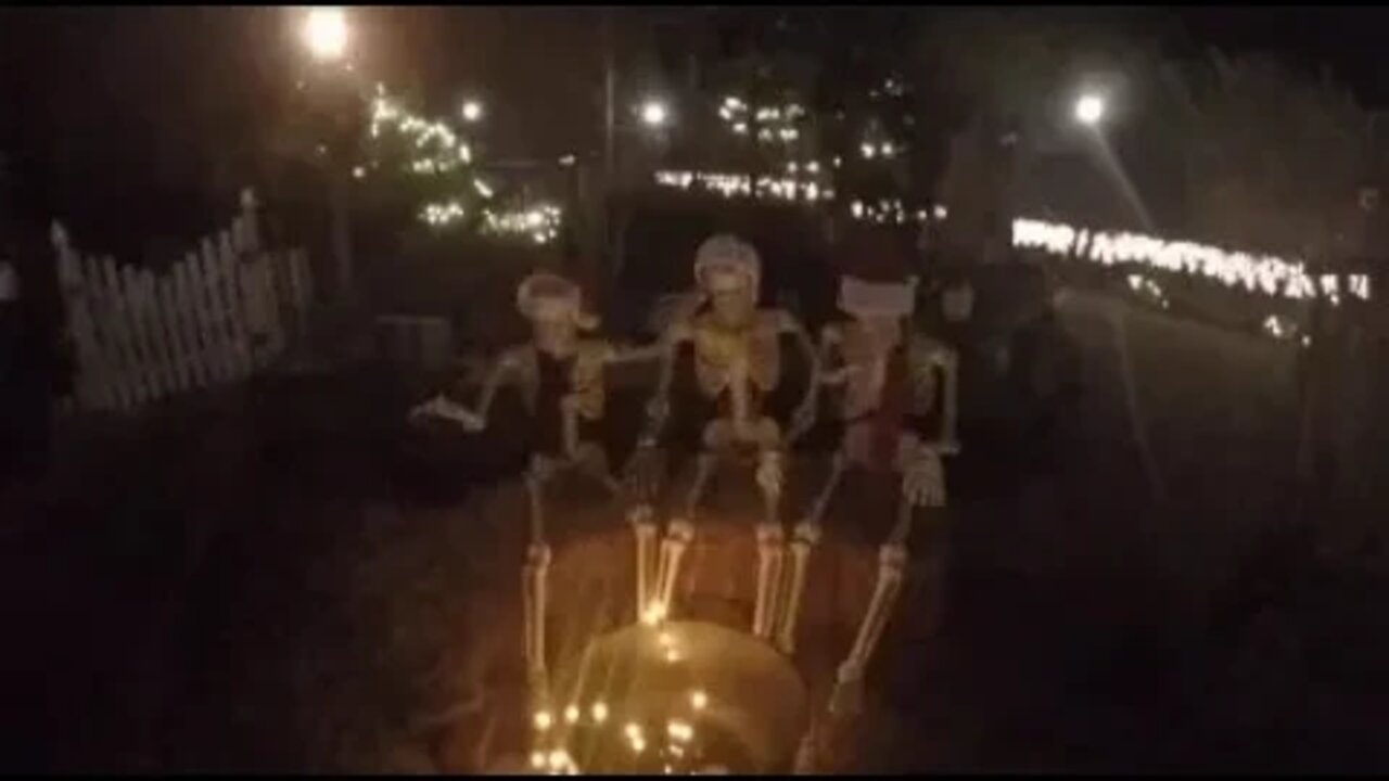 Holiday lights at the Garden Bridge 2