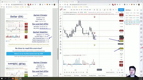 AutoUFOs 3-D Market Commentary (Bojan Petreski) 2021 Feb-23