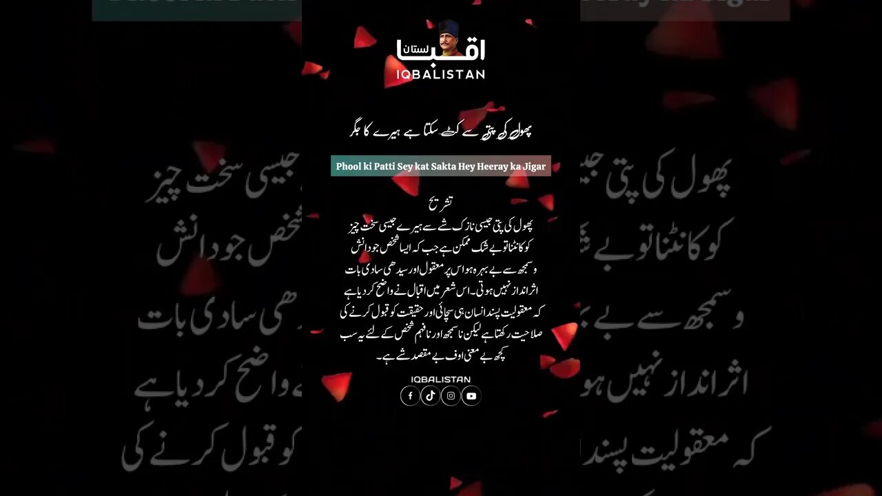 Phool ki Patti say kat sakta hay Heeray ka Jigar #iqbal #allamaiqbalpoetry #islamicpoetey