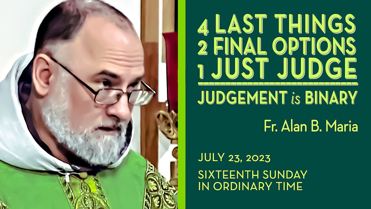 The Final Judgement is Binary - July 23, 2023 - Ave Maria! HOMILY