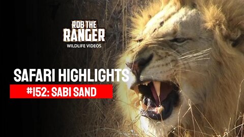 Safari Highlights #152: 25 - 28 July 2012 | Sabi Sand Nature Reserve | Latest Wildlife Sightings