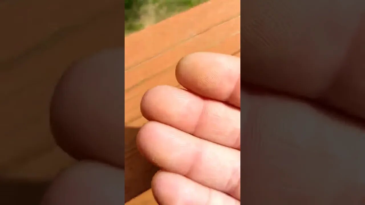 What Is Pollen?