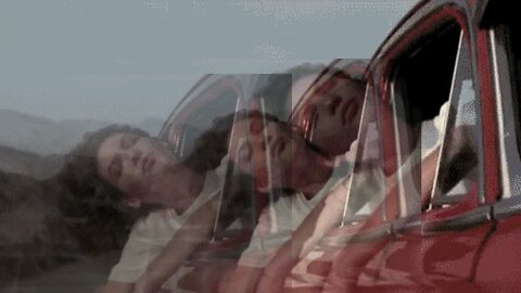 “She’sGone” ScottECota