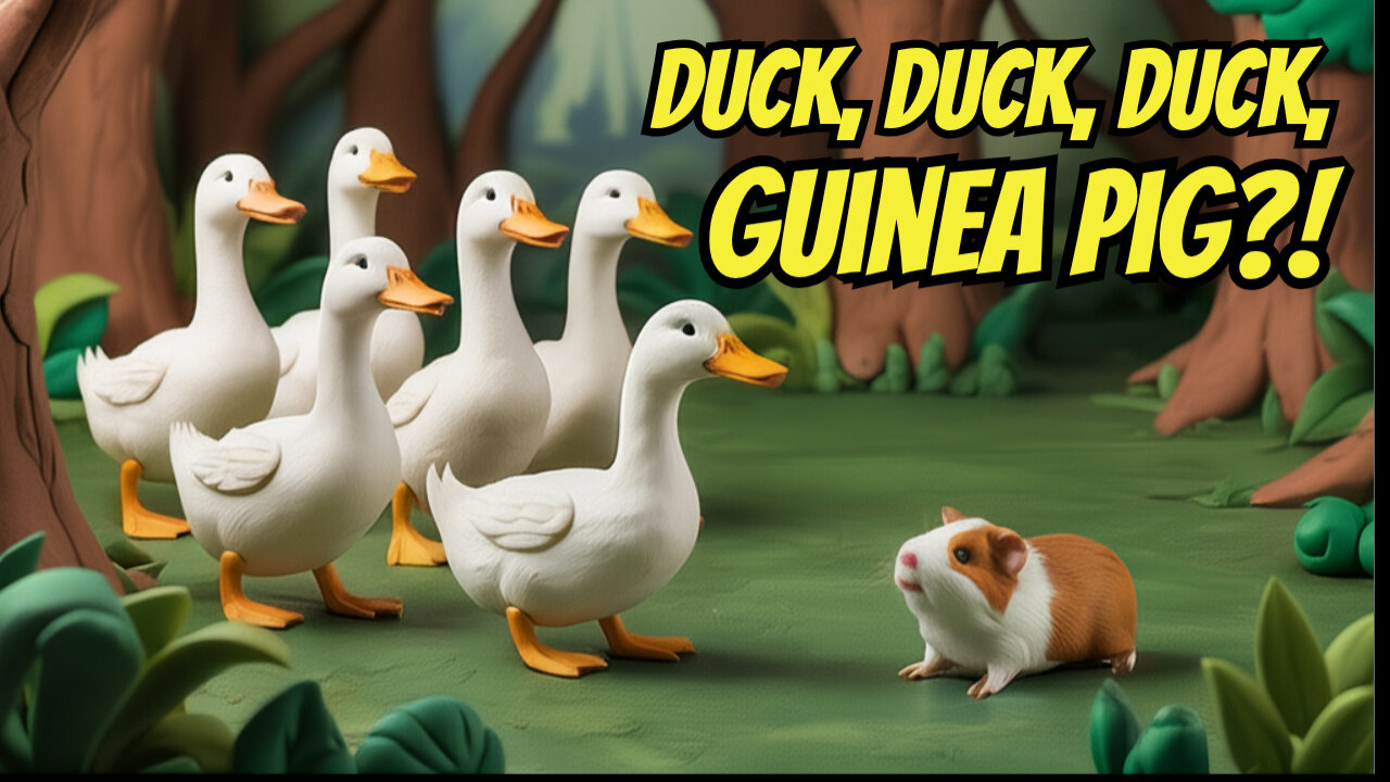 🦆 Duck, Duck, Duck...Guinea Pig?
