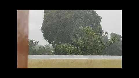 Chuva No Nordeste Ao Vivo