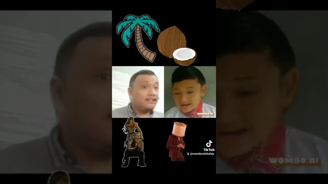 funny coconut song