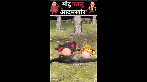 motu patlu