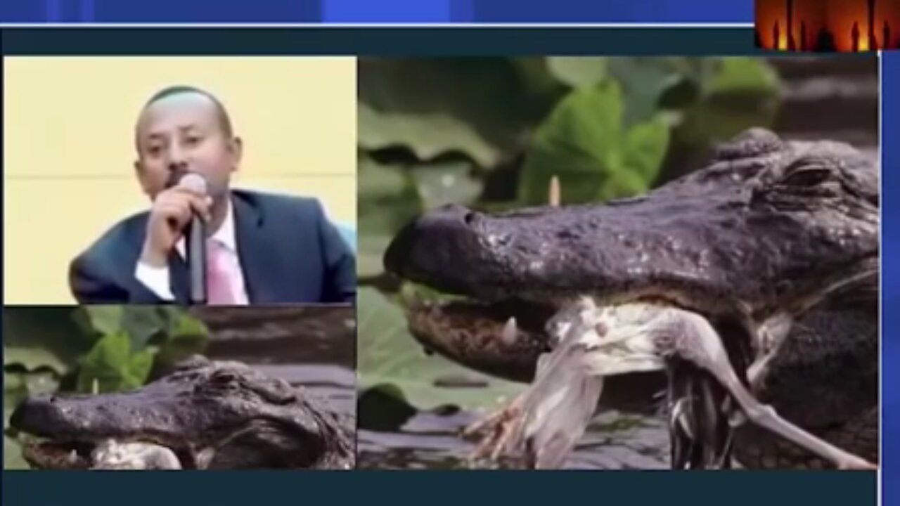 አብይ አህመድ በመደመር እሳቤ የቀረጠፋቸው ኢትዮጵያውያን - ሀብታሙ አያሌው