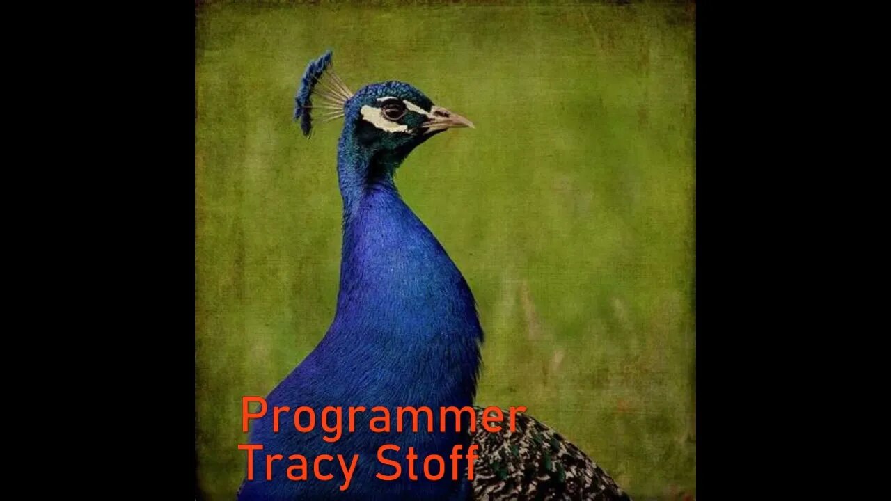 Tracy Stoff Can't Get Susan Programmed