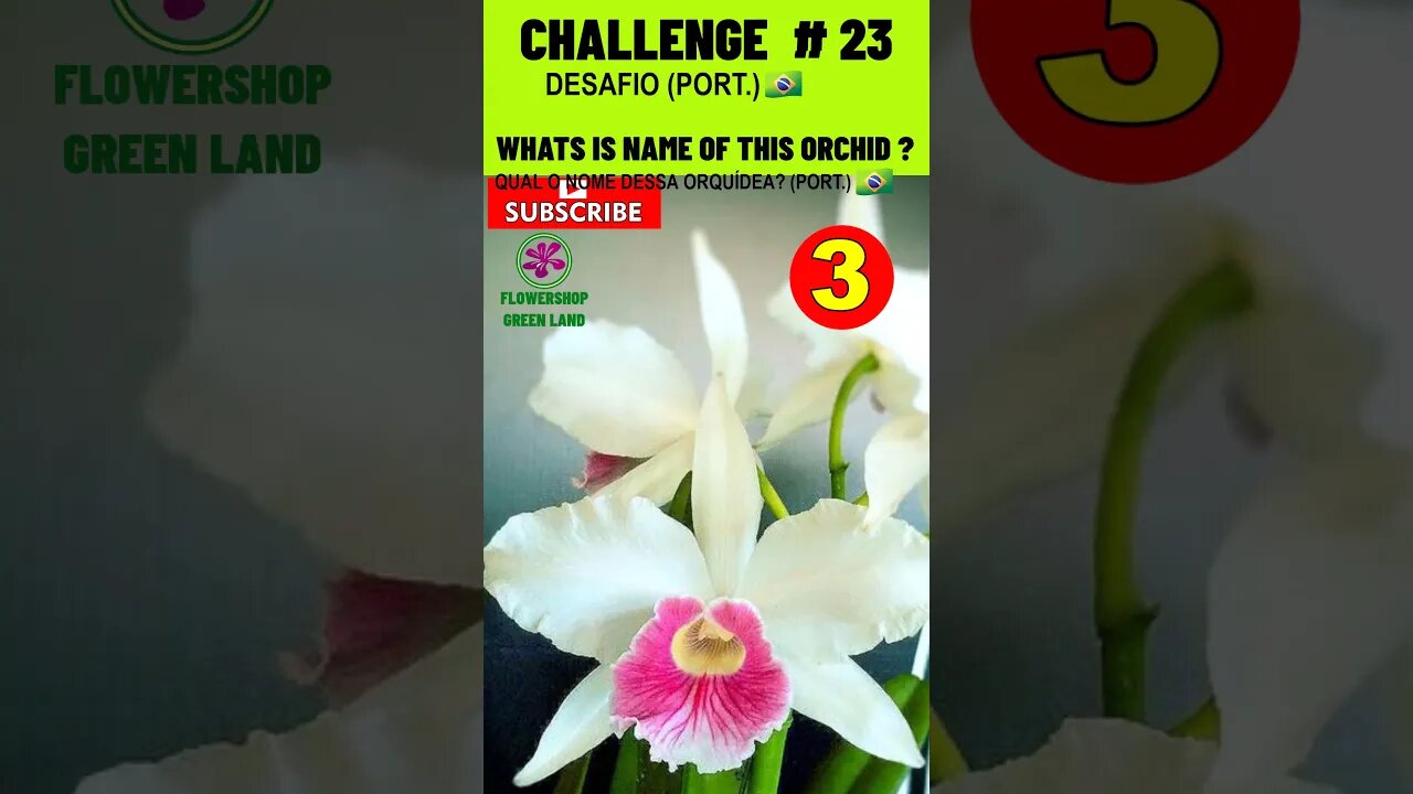 CHALLENGE # 23 |WHATS IS NAME OF THIS ORCHIDS?|YOU WANT TO LEARN? |# SHORT