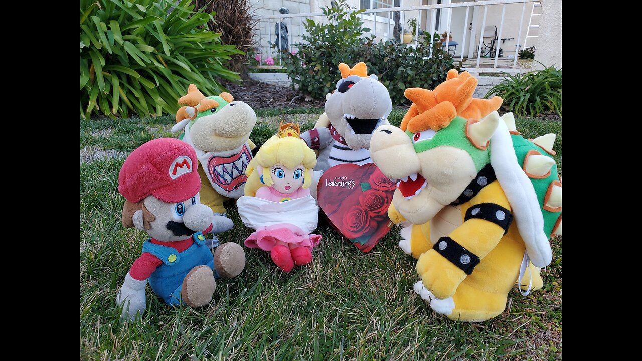 Bowser captures princess peach for Valentine's Day!!!