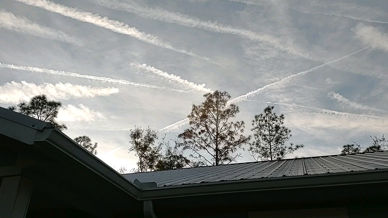 Sky Check N Central FL 12/06/24