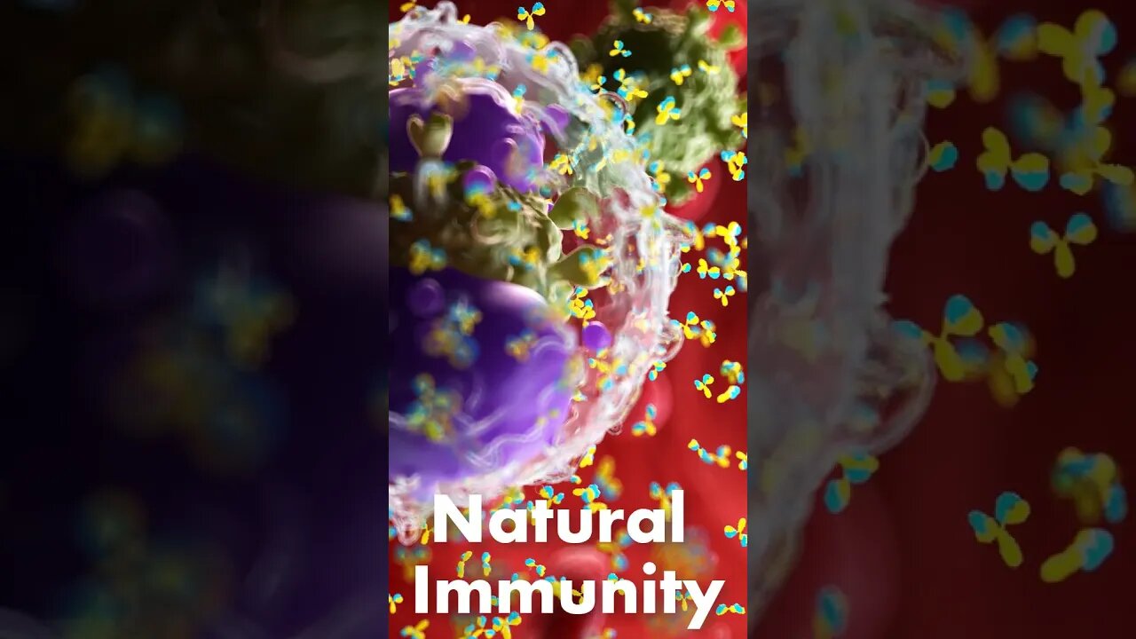 Natural immunity in your body