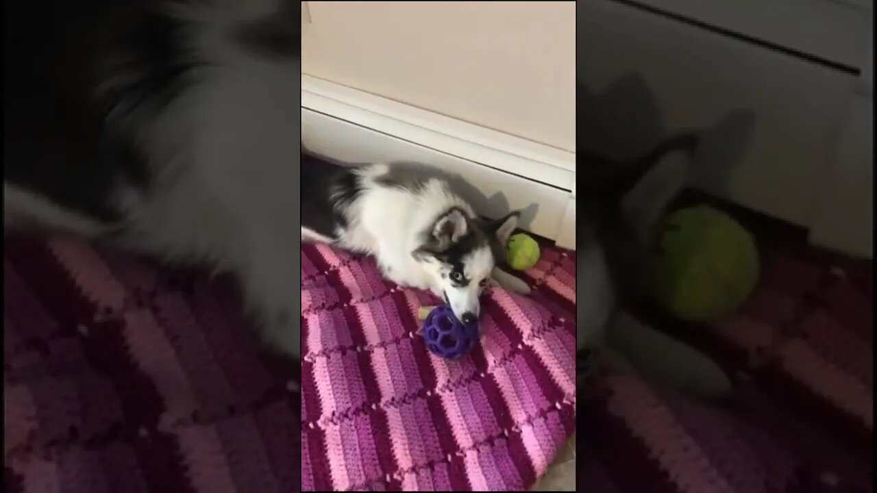 Get off!