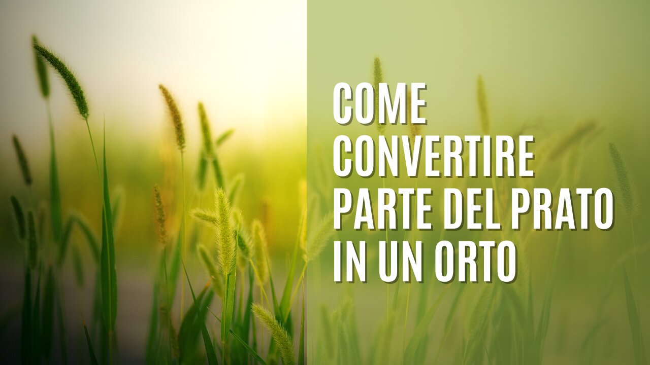 Come convertire parte del prato in un orto