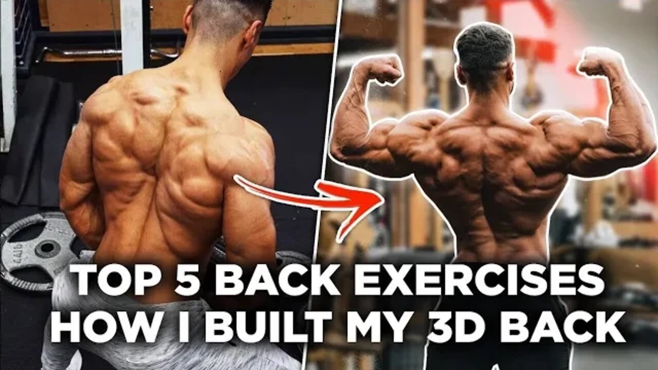 5 best back exercises best back workout best lats exercises get big lats
