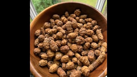 Benefits of Tiger Nuts, Dates and Coconuts Beverage