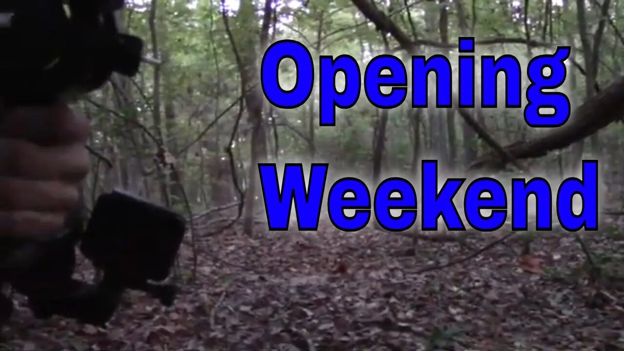 Opening Weekend of Bow Season