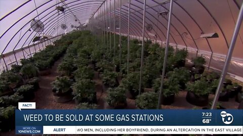 Fact or Fiction: Weed to be sold at some gas stations?