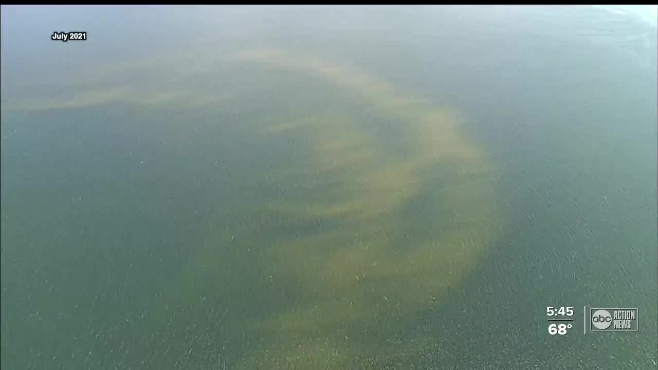 FGCU researchers say dead fish from red tide can be turned into natural fertilizer