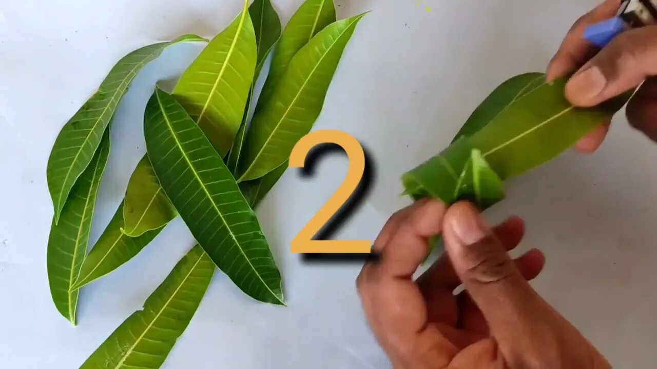 3 Door Wall Mango Leaves Decoration ideas | Mango Leaves Garland | Mango leaves Festival Decor