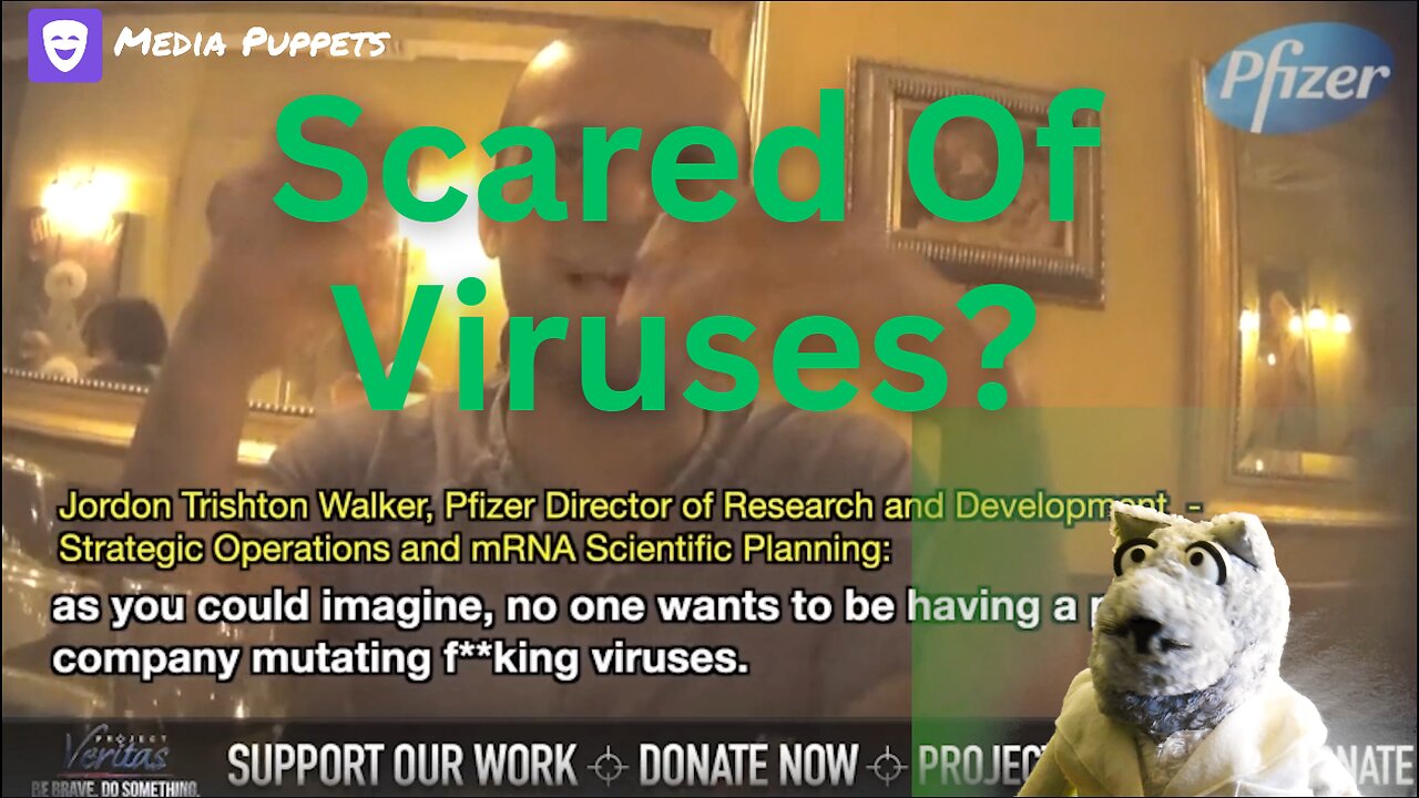 Is Pfizer Expose Blocking Your Critical Thinking on Viruses? Jordon Walker Media Puppets