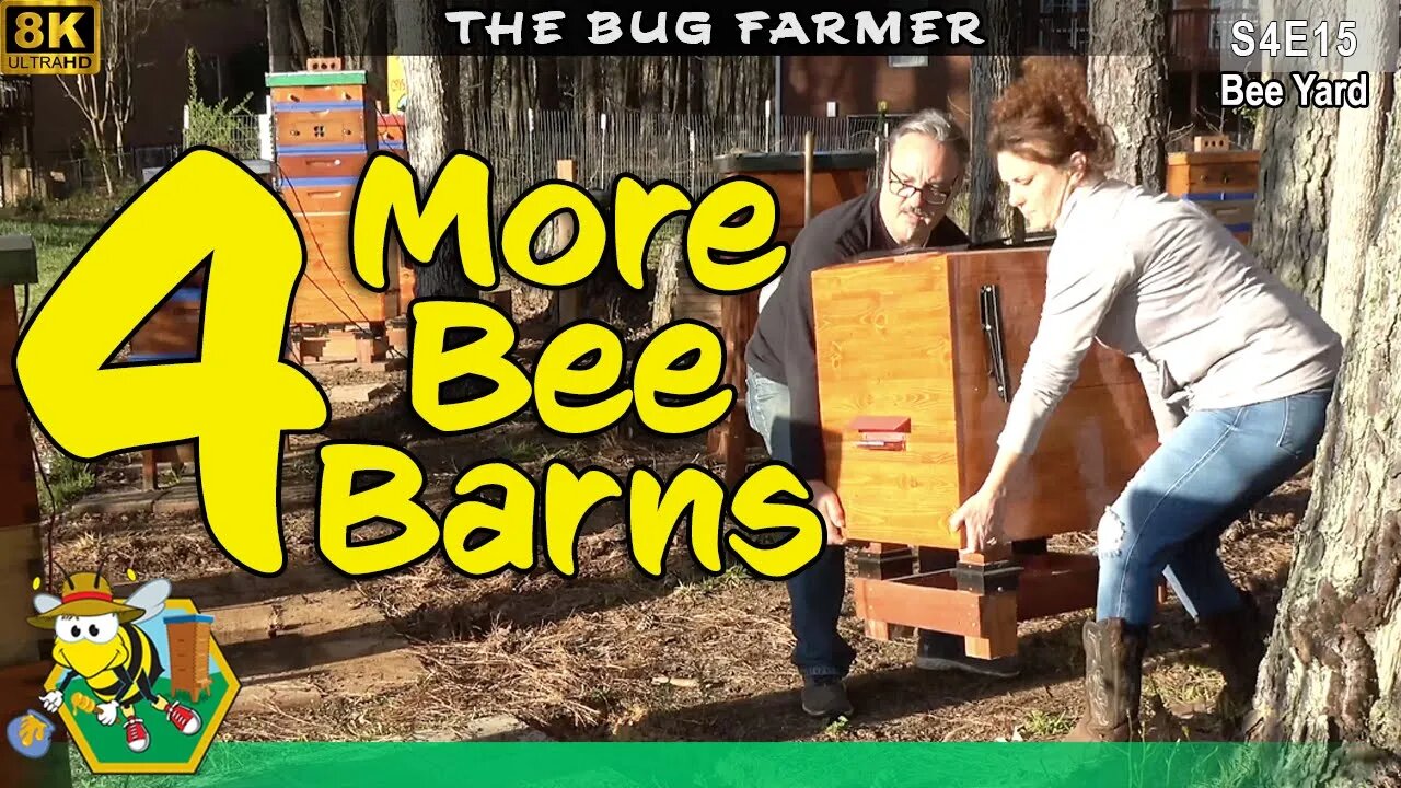 Bee Barns Everywhere | Installing four more Bee Barns #8K #Beebarn #beekeeping #insects