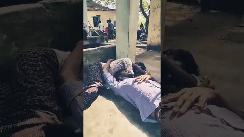 Vadivelu Velaiyaa Seiyaporom