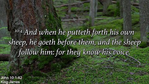 Sunday Morning, August 14th - To Know Is To Know