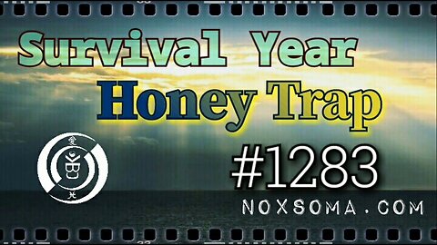 Hindsight Retrospective 2020: "Honey Trap" [10 December]