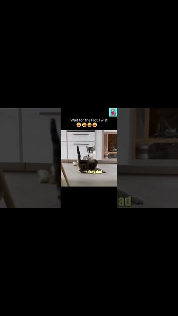 Wait for the Plot Twist | Poor Kitty