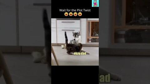 Wait for the Plot Twist | Poor Kitty