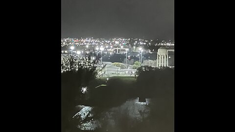 🎼🦁❤️🫥👀🫥❤️🦁🎼