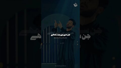 Janam Ali Ali - Ali Shanawar WhatsApp Status Nadeem Sarwar New Noha #shorts #ytshorts