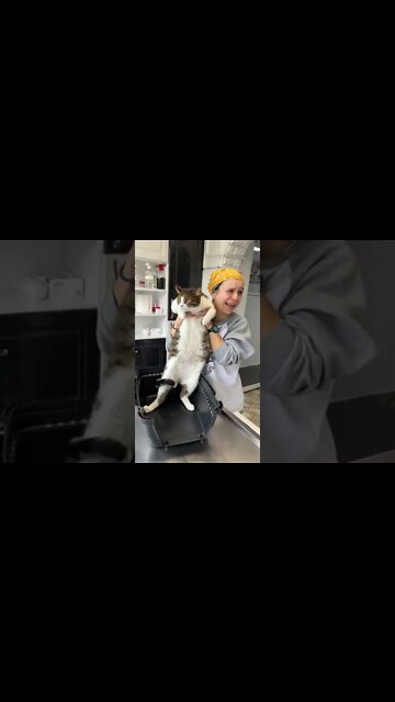 #shorts #2022 funny,prank,funjokes,dad jokes,funny memes,funny video,fun,laughing,funny animal,knock