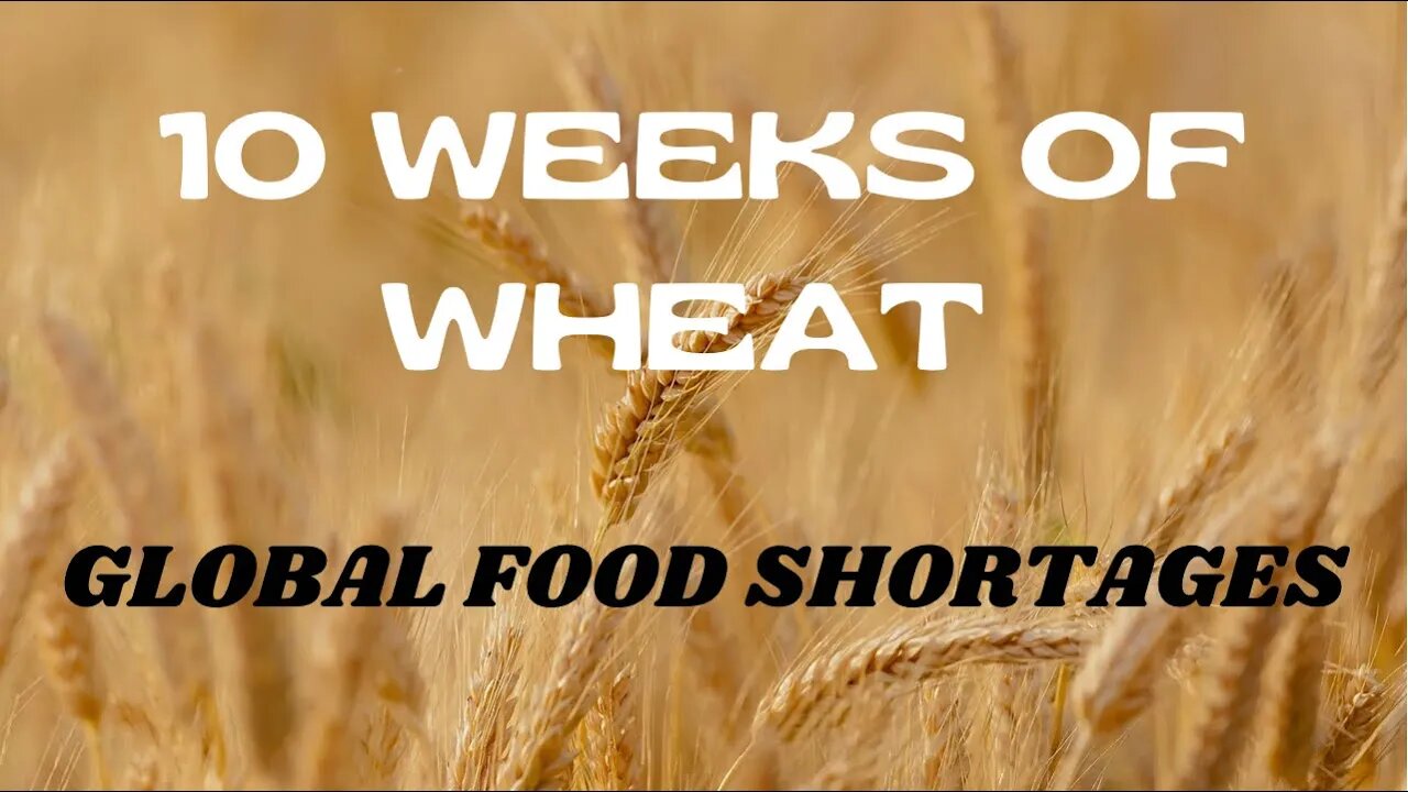 10 Weeks Of Wheat And Global Food Shortages